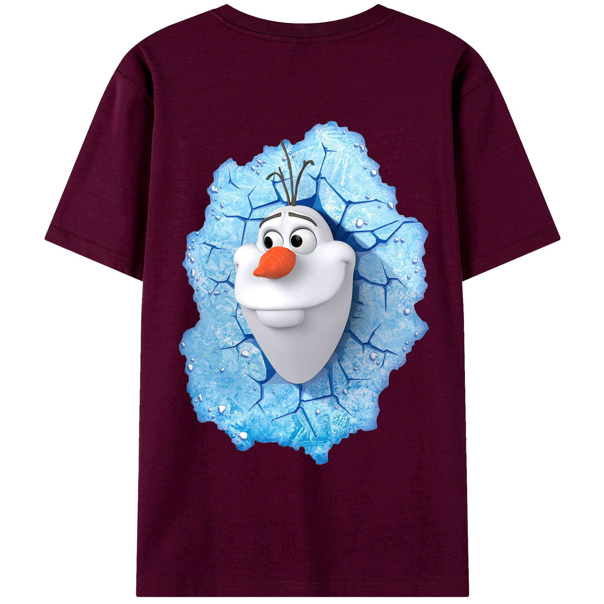 （画像用） アナと雪の女王 アンナ エルサ Frozen Anna Elsa レディース半袖Tシャツ(バックプリント)